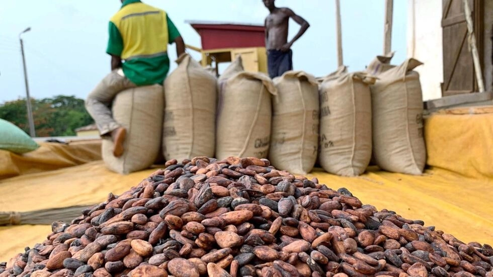 Côte d'Ivoire: le prix du cacao fixé à 1800 FCFA/Kg et le café à 1500 FCFA/kg