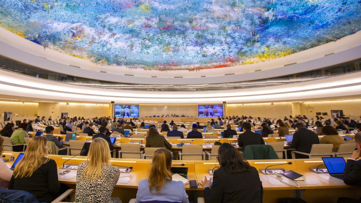 Les investissements mondiaux chutent de 11 % en 2024 (Rapport)