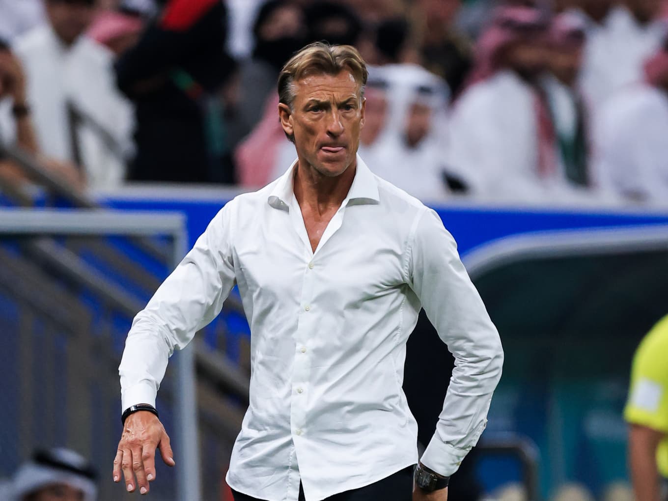Hervé Renard licencié par l'Arabie saoudite à deux mois du Mondial