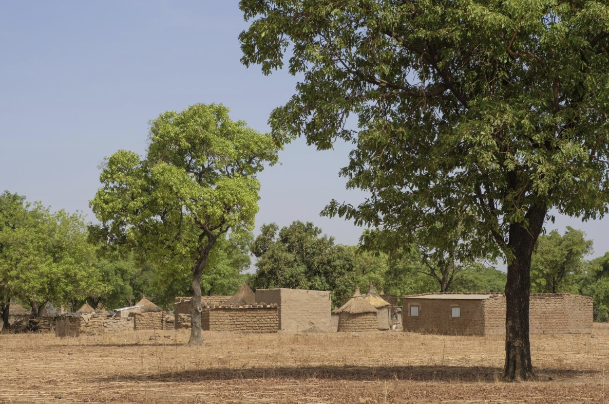 L'objectif d'éliminer le paludisme d'ici 2030 est en péril, alerte Target Malaria
