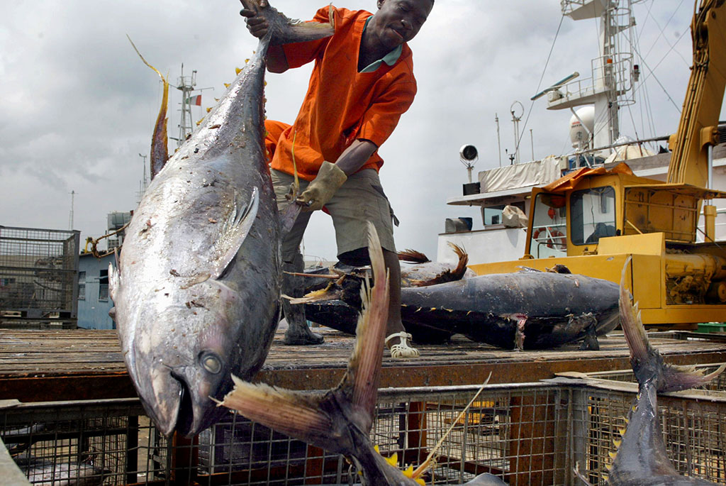 Repos biologique 2026 : suspension des activités de pêche en Côte d’Ivoire dès le 1er juillet
